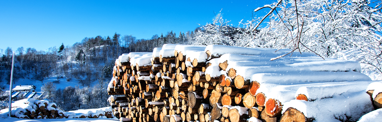 inverno 011.jpg